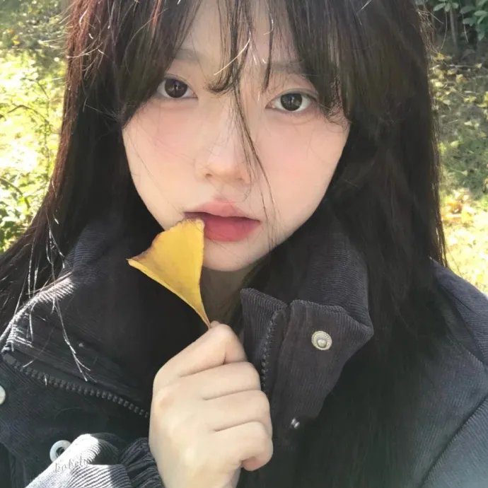 有你我不怕封面